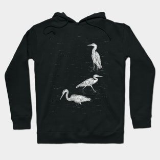 Three Herons Hoodie